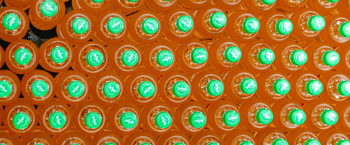 Imagen de Botellas PET: qué son, beneficios y características