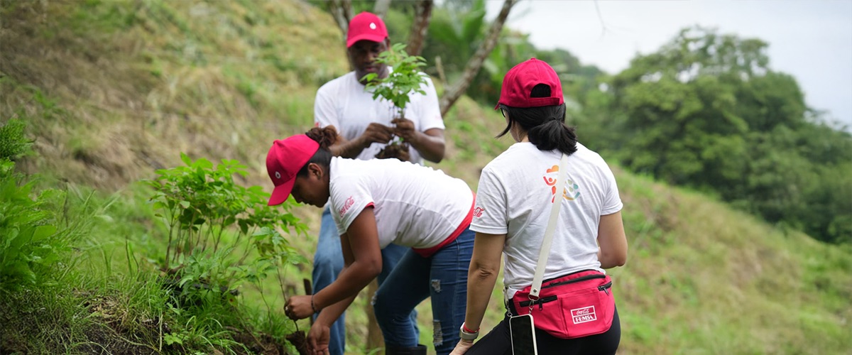 Imagen de Beneficios de la gestión ambiental en la sociedad