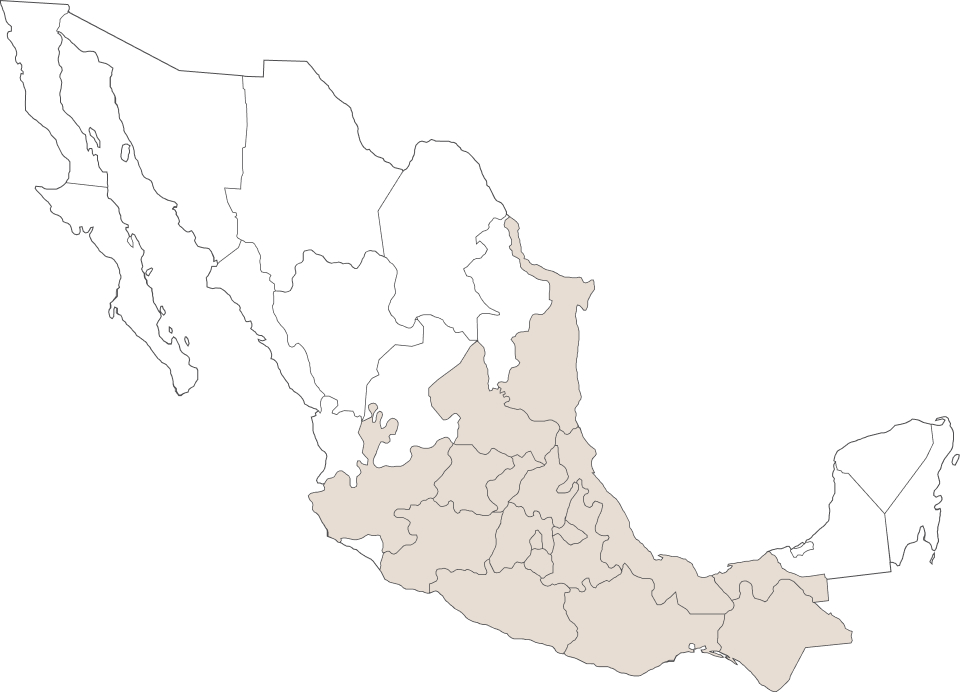 KOF - Nuestra presencia