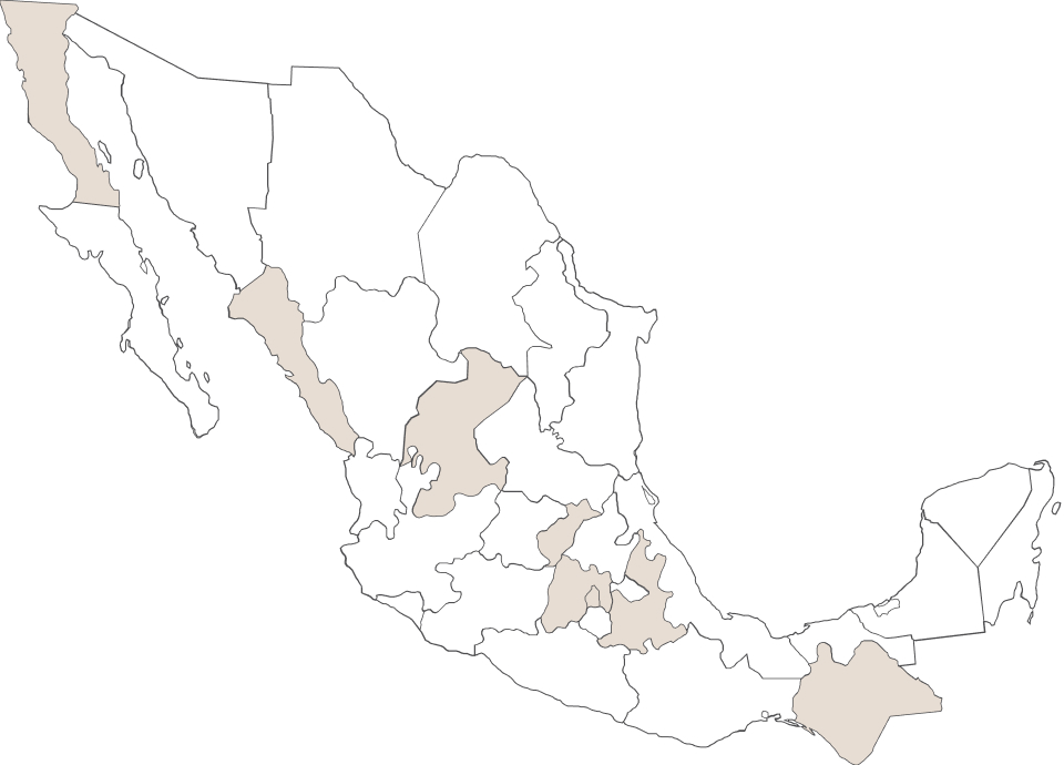 KOF - Nuestra presencia