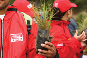 CocaCola FEMSA en Chiapas, reverdece con jornadas de reforestación y