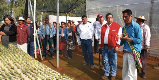 Chiapas en renovación integral del ambiente más allá de la reforestación con Coca-Cola FEMSA.