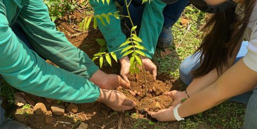 Coca-Cola FEMSA se suma a #MeUno Colombia para sembrar 5.000 árboles en la zona rural de Cali, Colombia.