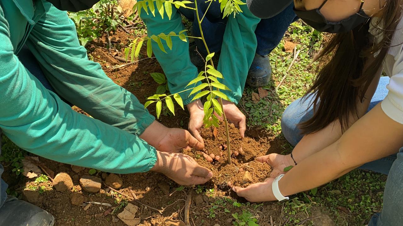 Coca-Cola FEMSA se suma a #MeUno Colombia para sembrar 5.000 árboles en la  zona rural de Cali, Colombia.