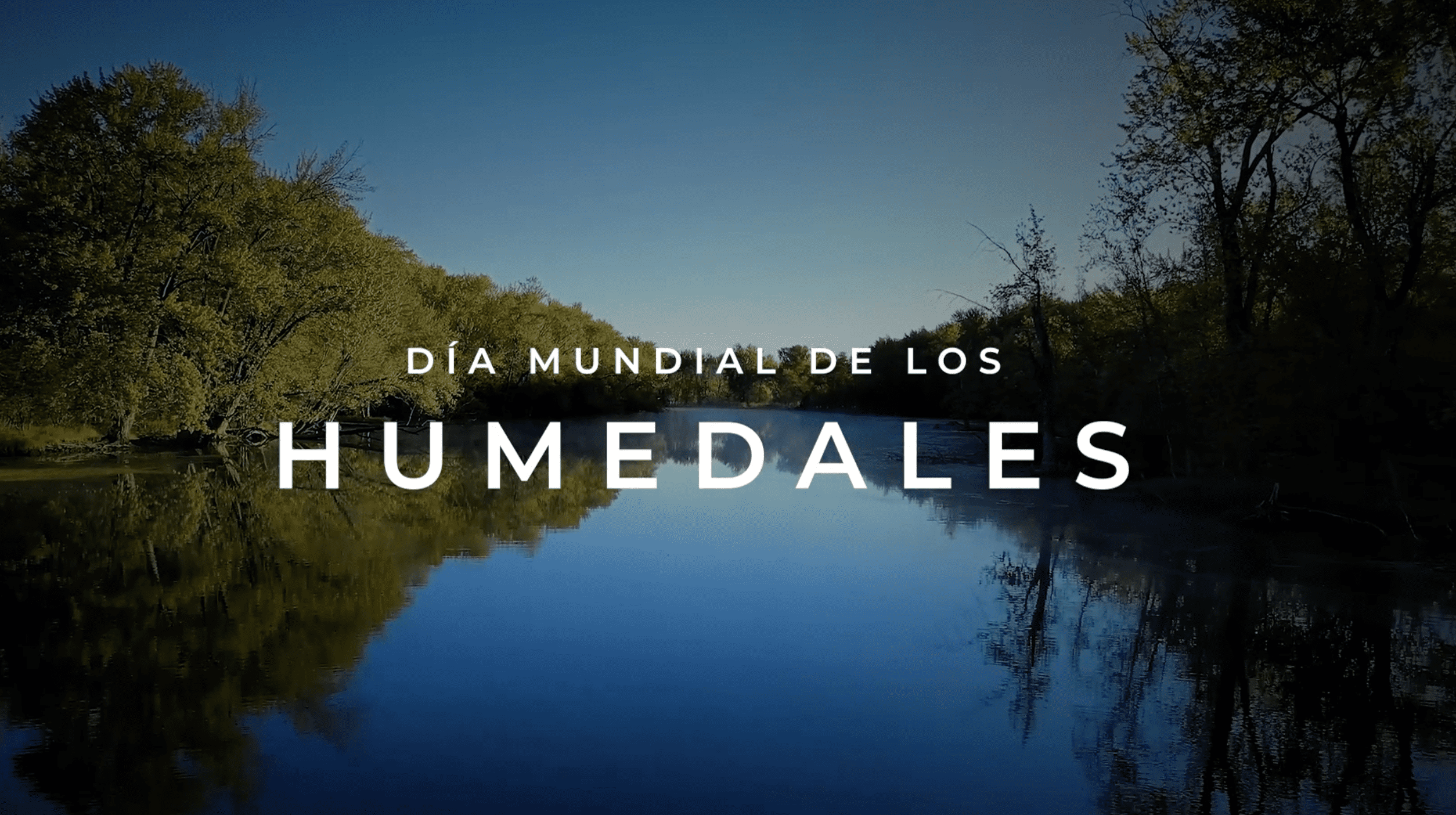 COCA-COLA FEMSA REAFIRMA SU COMPROMISO CON LA SEGURIDAD HÍDRICA EN EL DÍA MUNDIAL DE LOS HUMEDALES