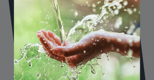 Gestión del agua: importancia para la conservación y bienestar de un futuro sostenible